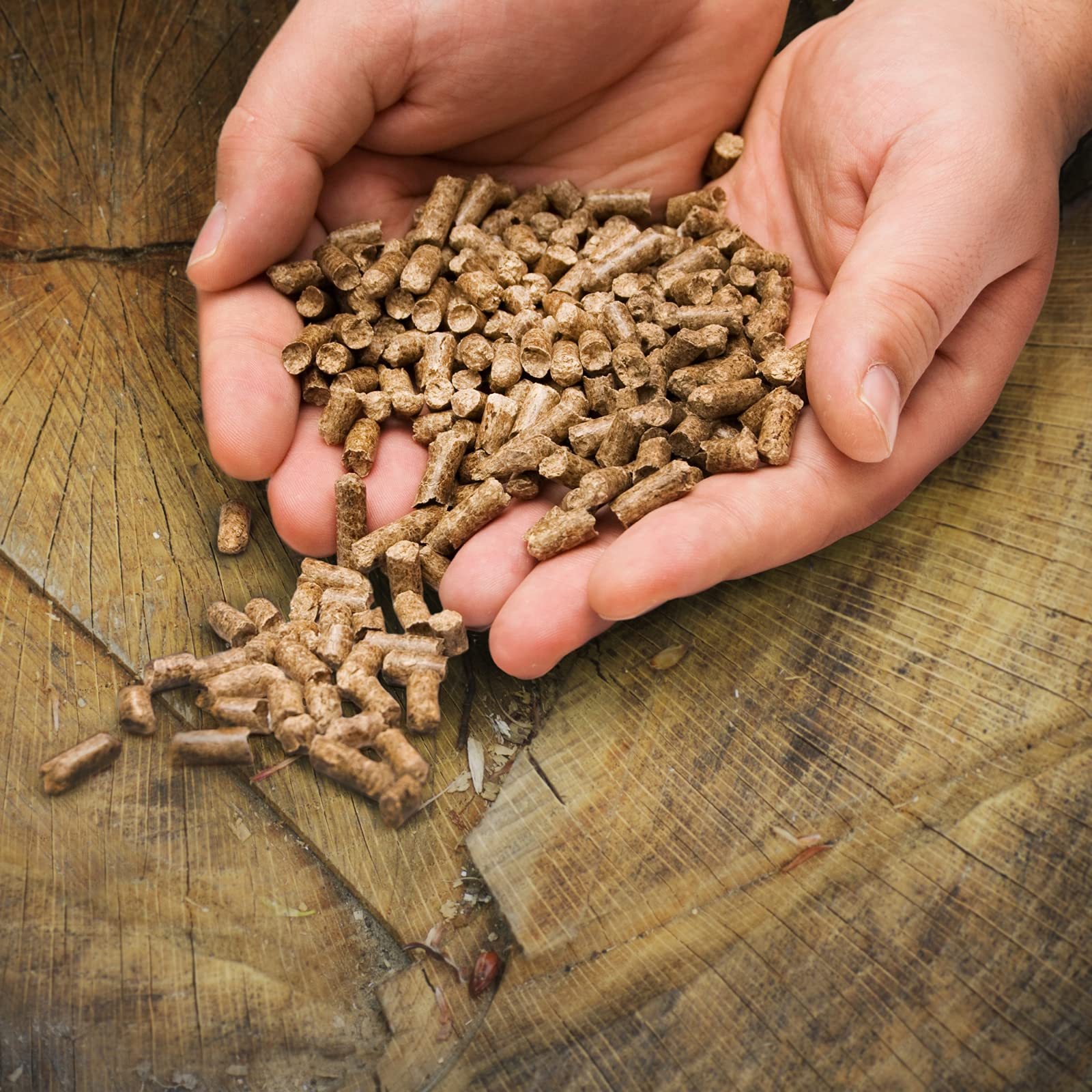 Mr. Bar-B-Q Hickory Smoking Pellets (20 lb. Bag) | Traditional Smokey Flavor | Perfect for use with Pellet Smokers | All-Natural Hardwood Pellets… - Image 6